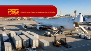 loading cargoes to a plane at an airport.